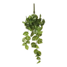 Mica Decorations Plante décorative Potos pendante, Vert