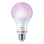 Philips Wiz E Ampoule LED E27 13 W 1521 Lm (2200-6500 K)