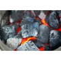 Weber Sac de 4kg de briquettes Weber FSC