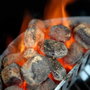 Weber Sac de 4kg de briquettes Weber FSC