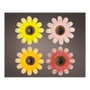 Lumineo Figurine solaire métallique fleur LED Ø14x4cm couleurs assorties blanc chaud