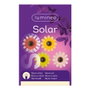 Lumineo Figurine solaire métallique fleur LED Ø14x4cm couleurs assorties blanc chaud