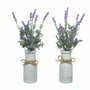 Everlands Plante décorative Lavande avec Pot (Ø 13 x 32 cm)