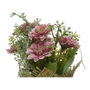 Everlands Surtidos Mini Maceta en Yute avec Marguerites/Dahlias Ø7 x 17 cm Modèles Variés