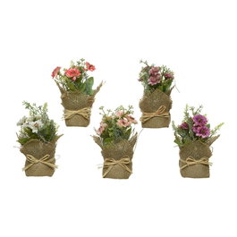 Everlands Surtidos Mini Maceta en Yute avec Marguerites/Dahlias Ø7 x 17 cm Modèles Variés