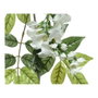 Everlands Branche de glycine artificielle 150 cm - Wisteria
