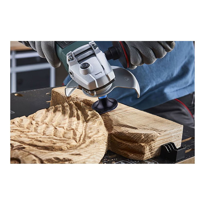 Disques abrasifs Wolfcraft 5607000 Disques abrasifs Wolfcraft 5607000