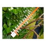 Taille-haie Black & Decker BEHTS401 55 cm 500 W 220-240 V
