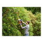 Taille-haie Black & Decker BEHTS401 55 cm 500 W 220-240 V