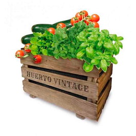 Agreen Set de culture Vintage eco 50 x 35 x 30 cm