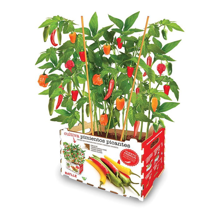 Batlle - agreen Boîte de piments forts 30 x 19,5 x 16,2 cm pour cultiver 4 variétés Batlle - agreen Boîte de piments forts 30 x 19,5 x 16,2 cm pour cultiver 4 variétés