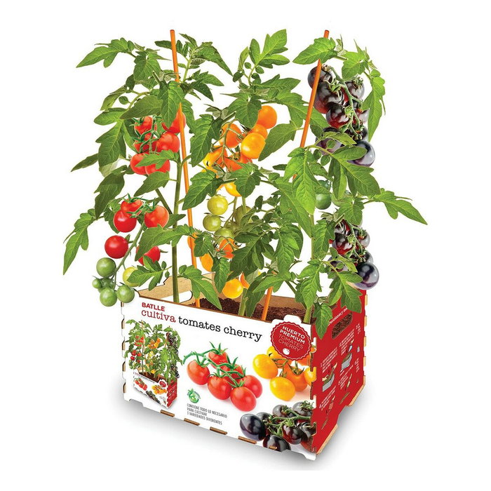 Set de culture Batlle Tomates naturelles 30 x 19,5 x 16,2 cm Set de culture Batlle Tomates naturelles 30 x 19,5 x 16,2 cm