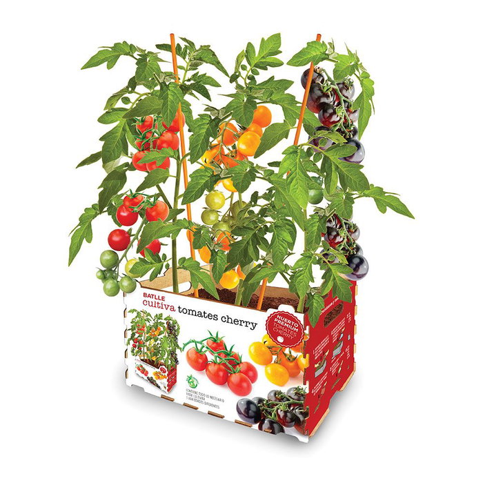 Batlle Coffre de culture tomates cerises 3 variétés 30 x 19,5 x 16,2 cm Batlle Coffre de culture tomates cerises 3 variétés 30 x 19,5 x 16,2 cm