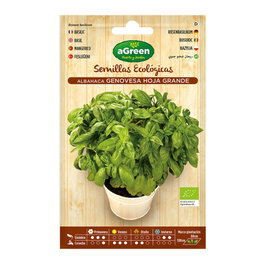 Agreen Sachet de graines bio de basilic genovese
