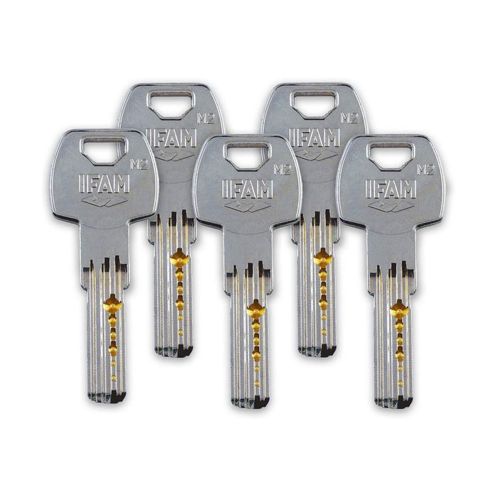 Serrure de sécurité IFAM CS88 Métal Acier