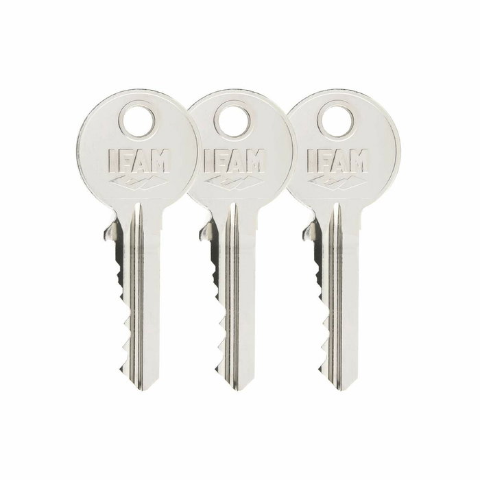 Serrure de sécurité IFAM B5/50 Acier Laiton Recouvrir