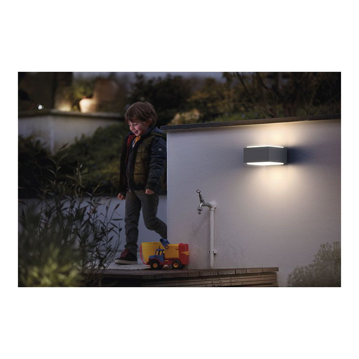 Philips Hedgehog Applique murale extérieure Gris Aluminium 42W E27