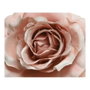 Everlands Rose avec clip en polyester couleurs assorties ø8,5x14cm