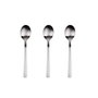 San Ignacio Set de 3 cuillères Root en acier inoxydable recyclé mat