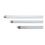 Edm Tube fluorescent 20W lumière actinique anti-insectes modèle T8