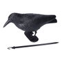 Répulsif EDM Oiseaux 19 x 39 cm polypropylène