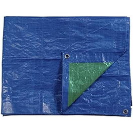 Edm Toldo en polyéthylène double face bleu/vert 4 x 5 m