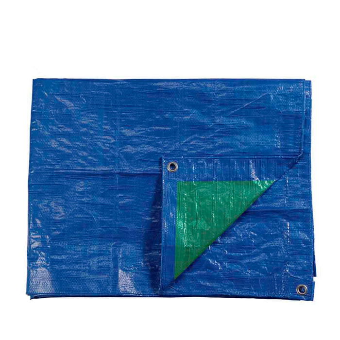 Auvent EDM 74992 Bleu Vert Bleu/Vert Polyéthylène 90 g/m² 4 x 5 m Double face