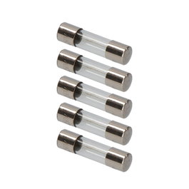 Edm Fusible 6 x 24 mm 10 A avec indicateur de fusion, pack de 5