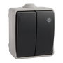 Solera Interrupteur double étanche IP44 16A 250V - Double commutateur extérieur gris/noir