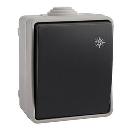Solera Interrupteur étanche IP54 10A 250V gris/noir pour tube Ø20mm