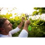 Outil Stocker Vert Liens 36 x 36 cm