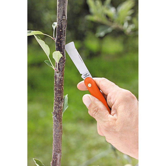 Couteau Stocker Acier Jardin