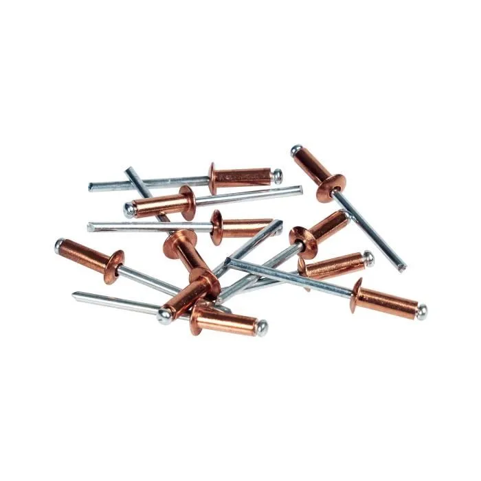Rapid Rivets en cuivre Ø4,8 x 12mm - Rivets aveugles pour plaques de plâtre et parois creuses - Boîte de 50 pièces + 1 foret - 5001467