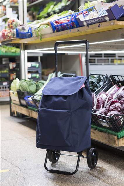 GIMI/ARGO 169292 - Carro de la compra bleu de 42 litres avec système à 2 roues, asa de enganche et bolsa impermeable extraíble