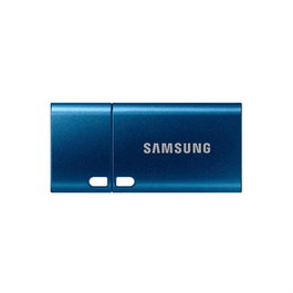 Samsung MUF-128DA/APC Clé USB 3.2 128 Go, Vitesse jusqu'à 400 Mo/s, USB Type-C, Résistant à l'Eau et aux Chocs