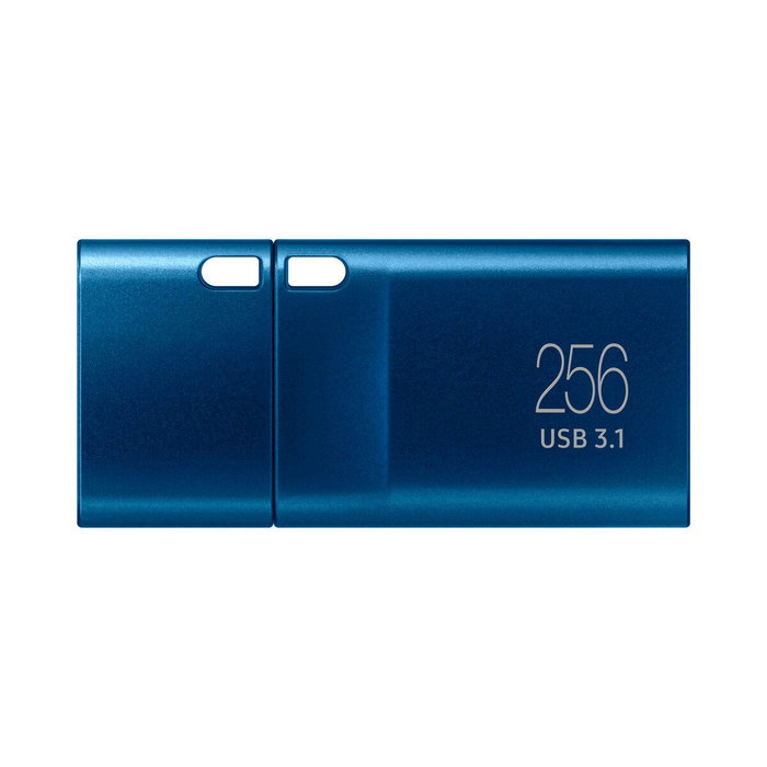 Clé USB Samsung MUF-256DA Bleu 256 GB