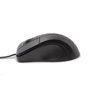 Nilox Mousb1001 Souris Optique USB 1000 DPI Noir Filaire