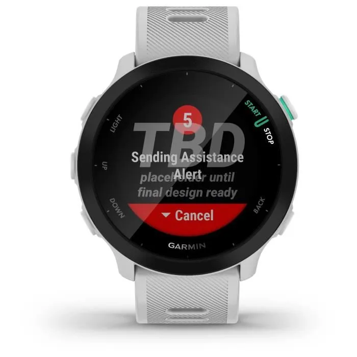 Garmin Forerunner 55 Montre GPS Connectée de Running Blanc