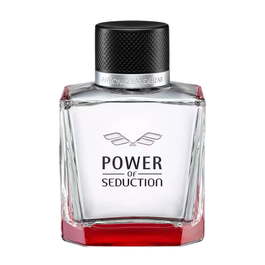 Antonio Banderas Power Of Seduction - Eau de Toilette pour Hommes - 100 ml