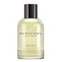 Burberry Weekend for Men eau de toilette 100 ml