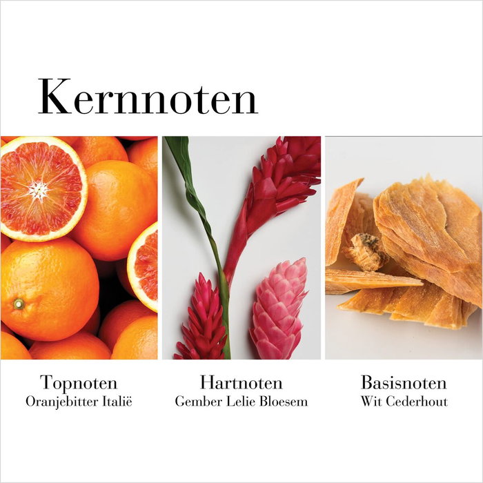 Parfum Femme Elizabeth Arden EDT White Tea Ginger Lily (100 ml)