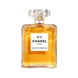 Chanel Chanel N°5 Eau de Parfum 100 ml