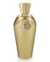 V Canto Posi Extrait de Parfum Unisexe 100 ml