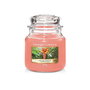 Bougie Parfumée Yankee Candle The Last Paradise