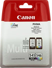 Canon PG-545+CL-546 Multipack noir / plusieurs couleurs (8287B005) – Cartouches d'encre ~360 pages
