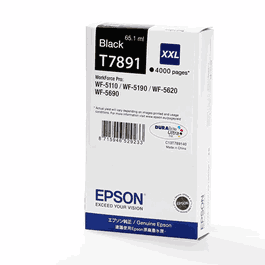 Epson C13T789140 Cartouche d'encre Noire XXL T7891XXL