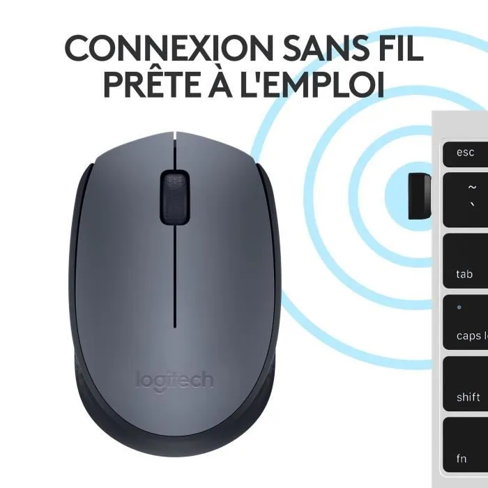 Logitech M170 Souris sans fil Ambidextre Gris et Noir