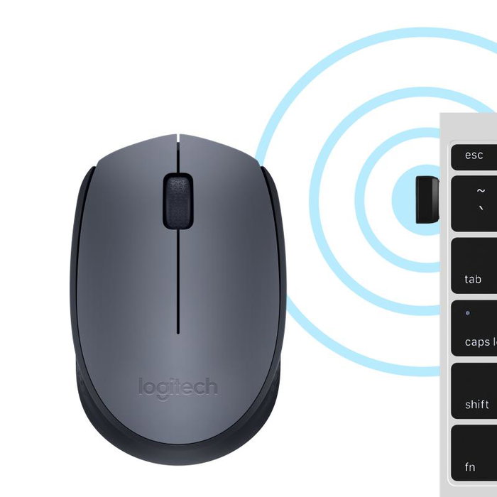 Logitech M170 Souris sans fil Ambidextre Gris et Noir