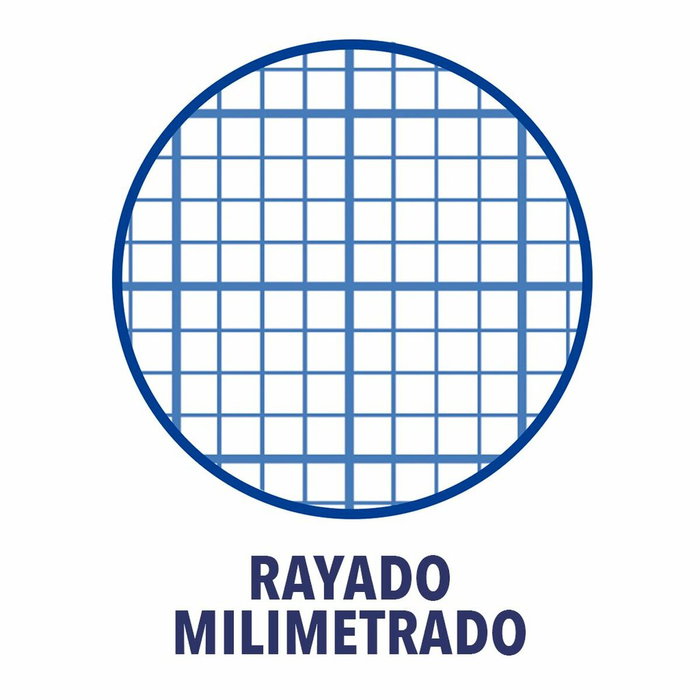 Cahier Oxford Write&Erase Multicouleur Feuille 80 Volets 21,5 x 31,5 cm 5 Pièces