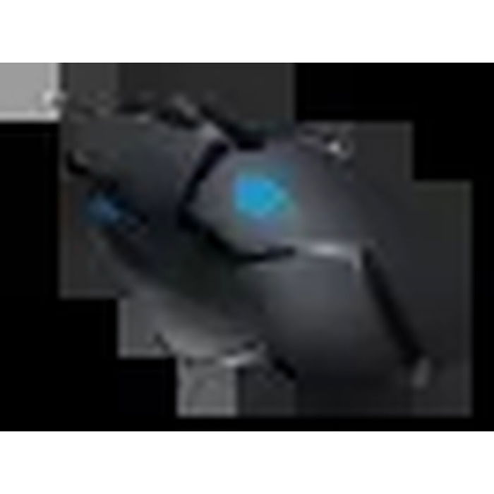 Souris Gaming Logitech 910-004068 Noir 4000 dpi